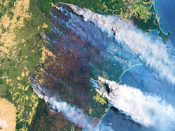CSIRO to lead bushfire knowledge pool