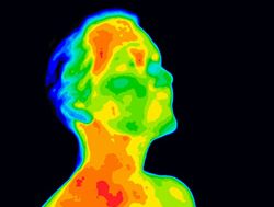 The heat is on: Can thermal images be used for facial recognition?