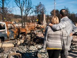 CSIRO to lead resilience study
