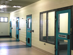 Detention centre assaults fall