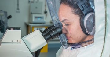 CSIRO joins hunt for virus cure