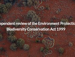 Extension to Environment Act review