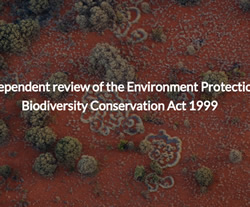 Extension to Environment Act review