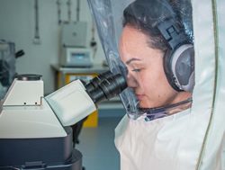 CSIRO joins hunt for virus cure