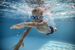 No dive for swim safety certificates