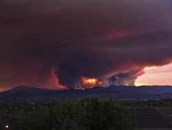 Bushfire cameras to go on trial