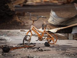 Bushfire donations won’t halt child subsidy