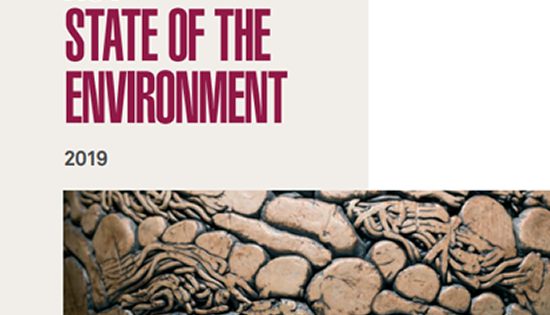State of Environment report released