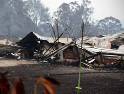 Bushfire survey setup for landholders