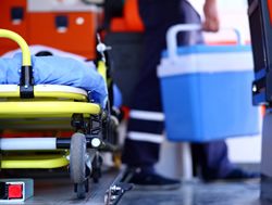 Organ donation strategy in demand