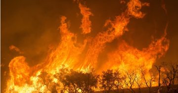 Climate of change: How the bushfires are forcing pension funds to go green