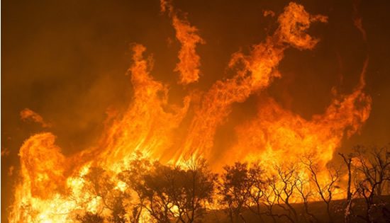 Climate of change: How the bushfires are forcing pension funds to go green