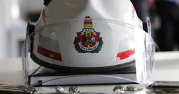 Heroes chosen as citizens of year