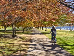 Warm, wet autumn ahead