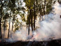 Fire ban extinguished in outer east