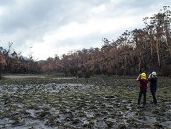 Bushfire damage assessed in report