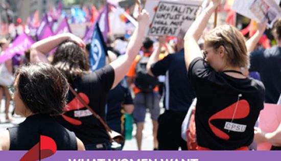 Survey finds PS women want security
