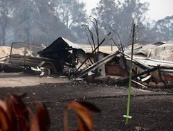 Bushfire businesses to go portable