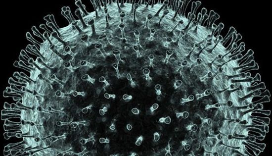 Health gears up for virus response