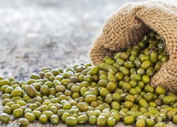 Mungbean expert to boost industry