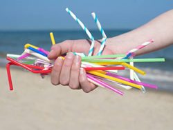 Plastics ban to see the last straw