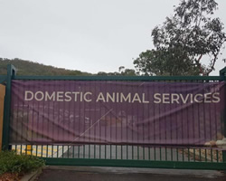 City Services impounded as crisis spreads