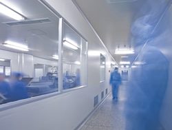 COVID-19 ACT virus numbers spread