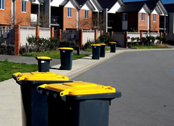 Early bird start for bin collectors