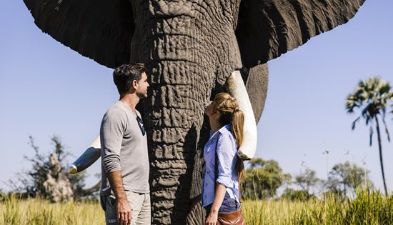 Botswana, Alice Springs and more…