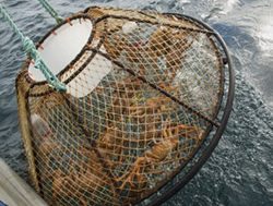 Patrol officers net illegal fishers