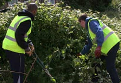 Offenders at work for community