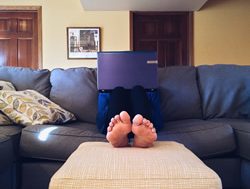 Ruling the roost: How to stay productive while working from home