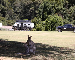 No camping as Easter approaches