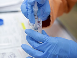 CSIRO facility steps up for vaccine