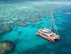 Volunteers that are passionate about coral planting