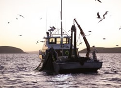 Virus crisis gets fishers off the hook
