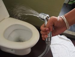 Regulator flushes out toilet trouble