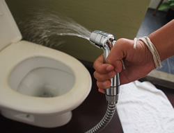 Regulator flushes out toilet trouble