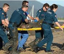Paramedics take fast-track to front line