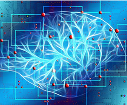 Artificial aid: How AI is making the world a safer place