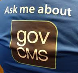 GovCMS shines light on showcase plans