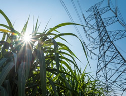 Energy roadmap opened for public input