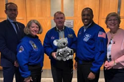 Adelaide koalas return from space