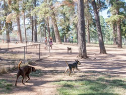 Parks and playgrounds open for fun