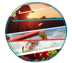 Agriculture workforce paper out for comment