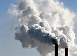 Carbon market remains strong