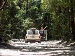 Tracks open for day trippers