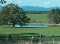 Small dams not holding water