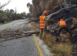 New jobs fired up for bushfire recovery