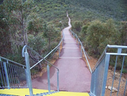 Bushfire trail back on straight and narrow